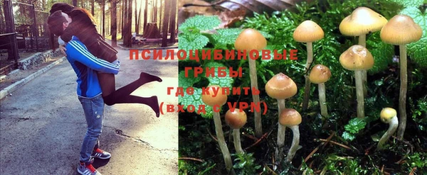 дживик Дмитров