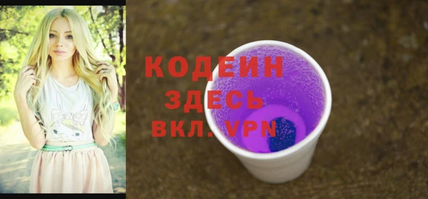 гашик Дмитровск