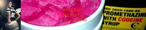 гашик Тутаев