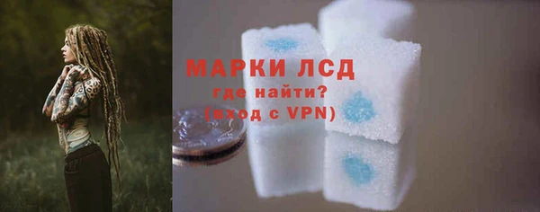 гашик Дмитровск