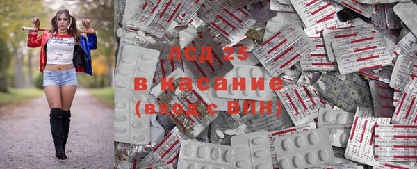 дживик Дмитров
