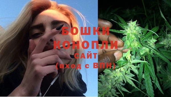 дживик Дмитров