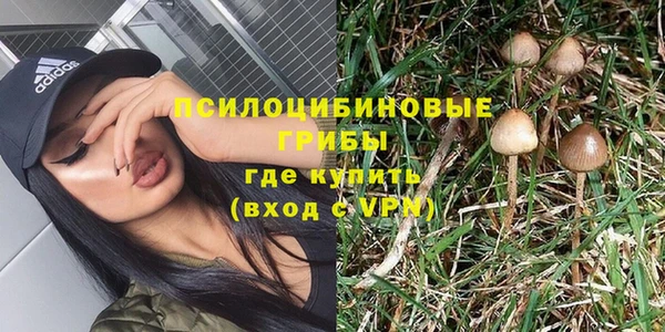 гашик Дмитровск