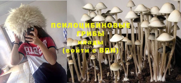 кристаллы Дмитриев
