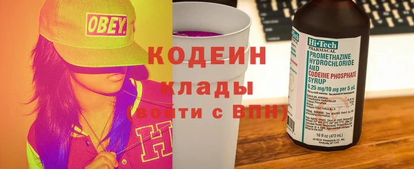 гашик Дмитровск